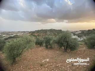  14 للبيع: أرض بإطلالة خلابة وموقع هادئ في دابوق من المالك مباشرة فيها منسوب