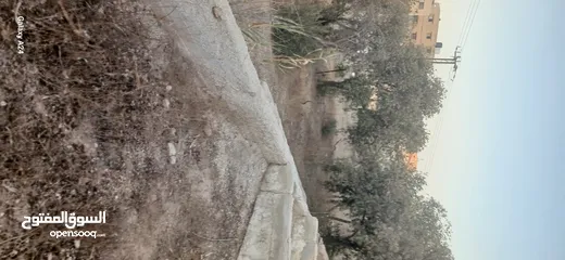  6 قطعه ارض للبيع حي الأحمد مطله على 3 شوارع مهويه من جميع النواحي مزروعه ومسوره دكه
