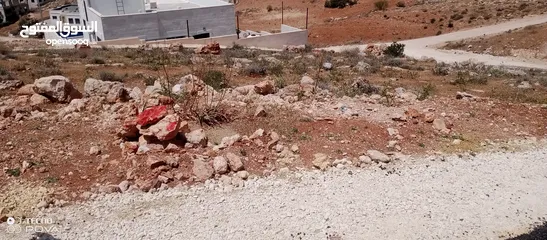  2 أرض للبيع في بيرين حي القصبات مميزة شارعين