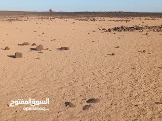 4 تملك قطعة أرض مساحة 10 دونمات   لكامل القطعة قوشان مستقل المفرق أراضي البادية الشمالية