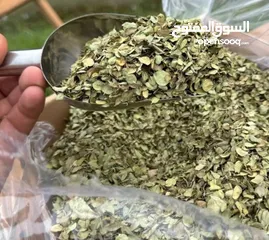  2 أوريغانو شيرازي ممتاز، طازج من حصاد هذا العام، بعطر سماوي من الدرجة الأولى