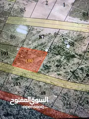  1 قطعة ارض للبيع او للبدل كوشان طابو في دورا طور ابو السنمات مساحة 587م تصنيف الارض سي C