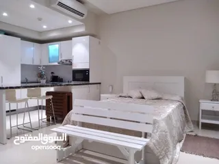  7 1 BR Amazing Furnished Studio Apartment in Jebel Sifa for Sale