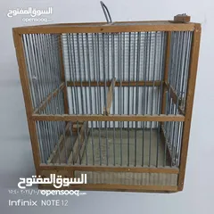  9 ببغاء كويكر و طيور للبيع أو البدل على ببغاء