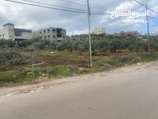  8 تجاري شارع رئيسي بين اكتابا وباعا