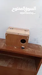  4 كواخ عصافير وكوكتيل بسعرر حرق يوجد كميات