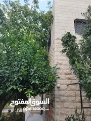  1 منزل طابقين جبل عمان