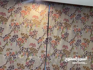  5 برادي زيبرا 4 قطع zebra