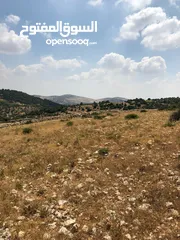  11 فرصة استثمارية! أرض زراعية مميزة بسعر مغري و بالقرب من أحراش الدولة للمزيد من المعلومات اقرأ الوصف