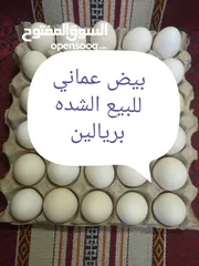  1 بيض عماني للبيع