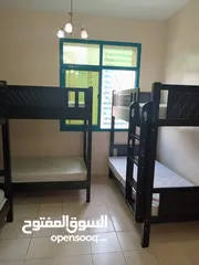  2 Male female Bed Space Sharjah