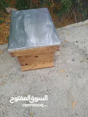  5 صندوق خلية نحل عسل من جذوع النخيل