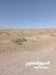  7 ارض للبيع شرق جامعة العلوم والتكنولوجيا