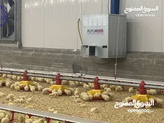  10 تجهيز وبناء مزارع الدواجن المغلقة