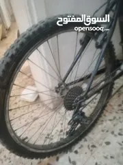  3 بسكليت نمره 26 نظيف على الفحص