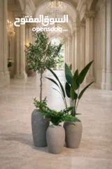  12 قووير جميع الاشكال والالوان