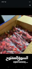  6 شركه ميركاتو العبور للفواكه المجمده و المجففه