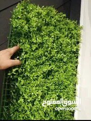  6 عشب جداري & عشب صناعي & نجيل صناعي & grass wall & wall grass & green wall