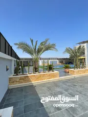  12 شاليه للبيع  البحر الميت منطقه البحيره على مساحه ار 730 م ومساحه البناء 170 م