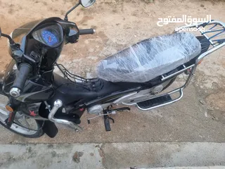  5 جليق evca 2024