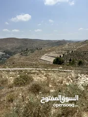  9 دونم للبيع بسعر مغري في بيت امرين قريب جدا من الخدمات و البناء