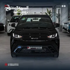 1 BYD SEAGULL
