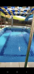  5 مزرعة زهرة اللوتس