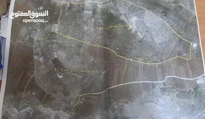  5 للبيع في صوريف خلة ابو سليمان