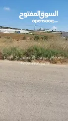  1 ارض استثمارية للبيع