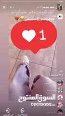  16 حساب انستقرام تفاعل قوي+ حساب انستقرام متابعين +تفاعل قوي +حساب فيس بوك تفاعل قوي + متابعين