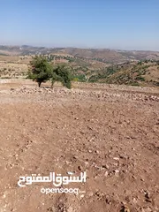  16 مزرعه للبيع في جرش سوف منطقه الظهره الشماليه