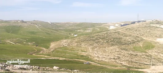  8 زينات الربوع قرب الترخيص