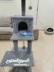  1 بيت قطط مستعمل