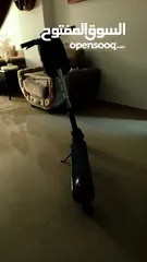  10 سكوتر كهرباء من شركه BIRD مستعمل بحاله جيده جداا وسريع وحالته ممتازه و مع ليز اخضر هديه
