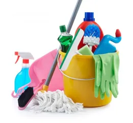  4 cleaning services in riyadh per hours