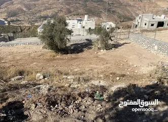  5 للبيع قطعة أرض بإطلالة مميزة على سد الملك طلال