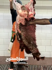  23 لحم نعيمي طازج ذبح يومي