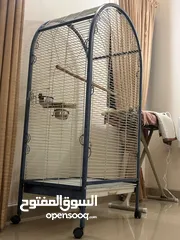  2 Bird cage for sale