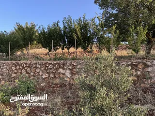  12 مزرعه للبيع / عجلون / رأس منيف