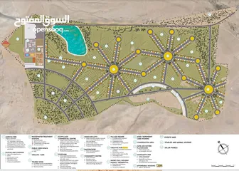  1 **فرصة استثمارية فريدة في أرض زراعية شاسعة بالأردن!**    **المساحة الإجمالية:** 1,000,000 متر مربع