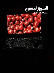  5 اللابتوب الفخم ال Zenbook شاشه OLED حديث