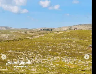  1 فرصة للاستثمار