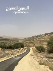  3 ارض زراعيه للبيع في اجمل مناطق العالوك