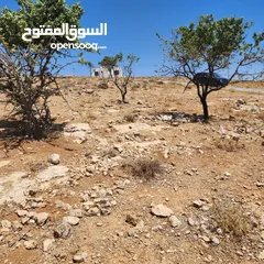  6 ارض مميزة في رجم الشوك 700م سكن ب حد شفا بدران من المالك مباشر