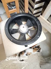  6 خلاط سوري حمص أو مايونيز