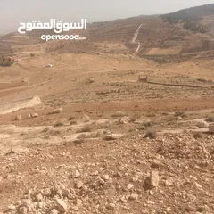  12 قطعة ارض شرق جرش مرويه من بئر ارتوازي مطله ومرتفعه بسعر مغري متوفر أكثر من 50 قطعه في نفس المنطقه