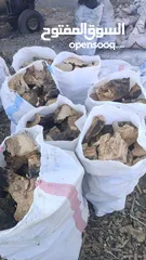  11 حطب زيتون يابس لمطاعم الزرب