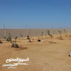  6 أرض ضمن كومباوند المطار 4 بمساحة 3600m للبيع بسعر حرق