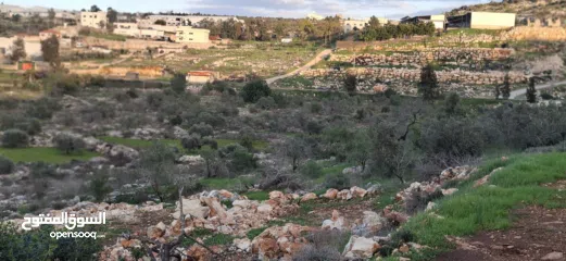  12 800متر طابوا فلسطيني في اجمل موقع بالكفريات واطلالة مميزةمنطقة( b)صالحة للبناء