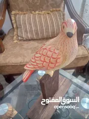  6 مناظر حيوانات للبيع بسعر مغري